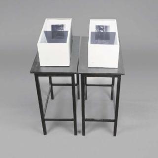 Thomas Ruff - 3D - Schwarzwald (Werkzeugraum And Jungbullen)