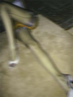 Thomas Ruff - Nudes Dg 06