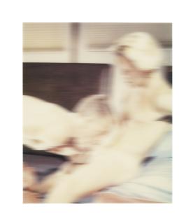 Thomas Ruff - Nudes go21