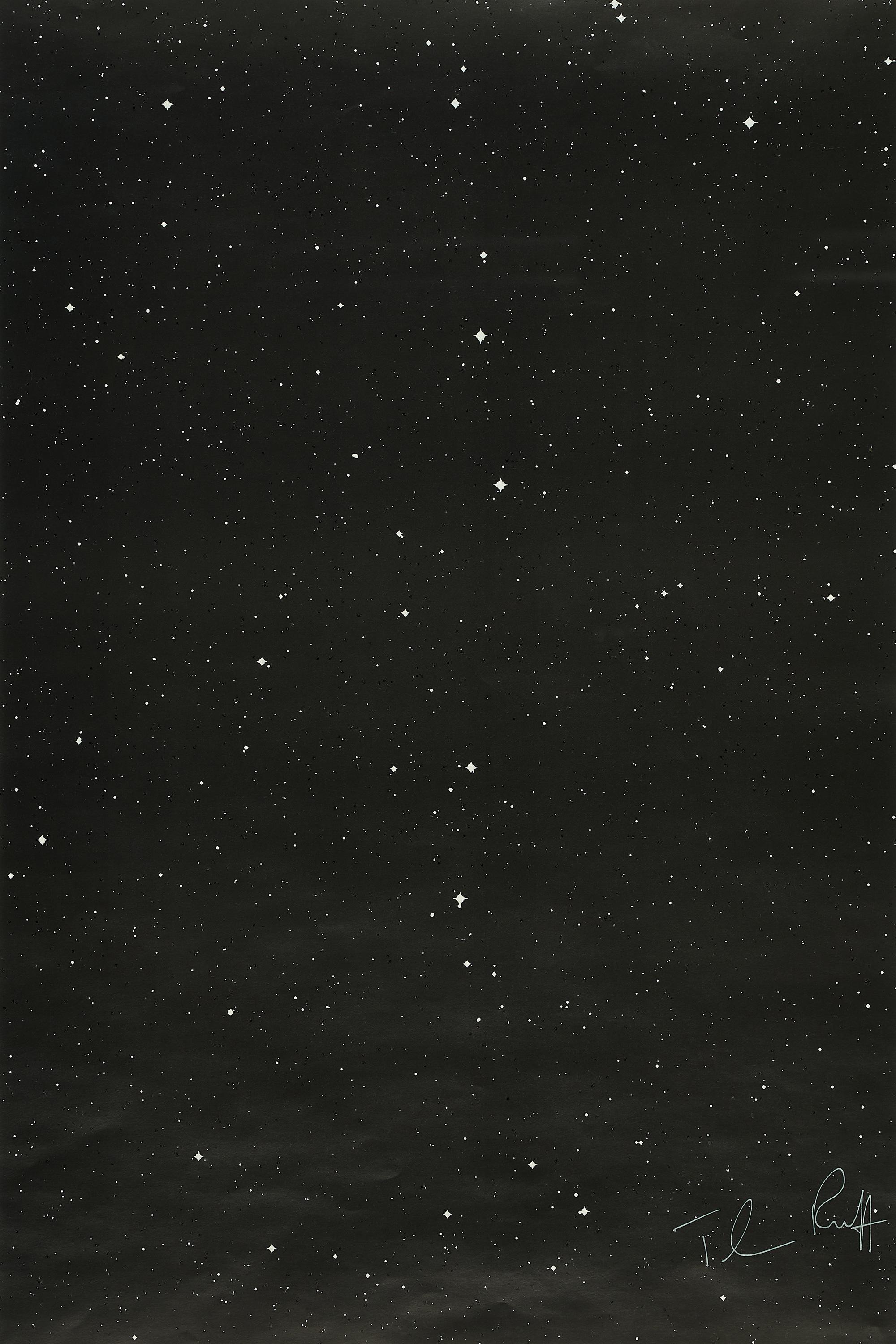 Thomas Ruff - Sterne (05h 08m/ -45 Grad).