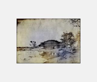 Thomas Ruff - Tripes