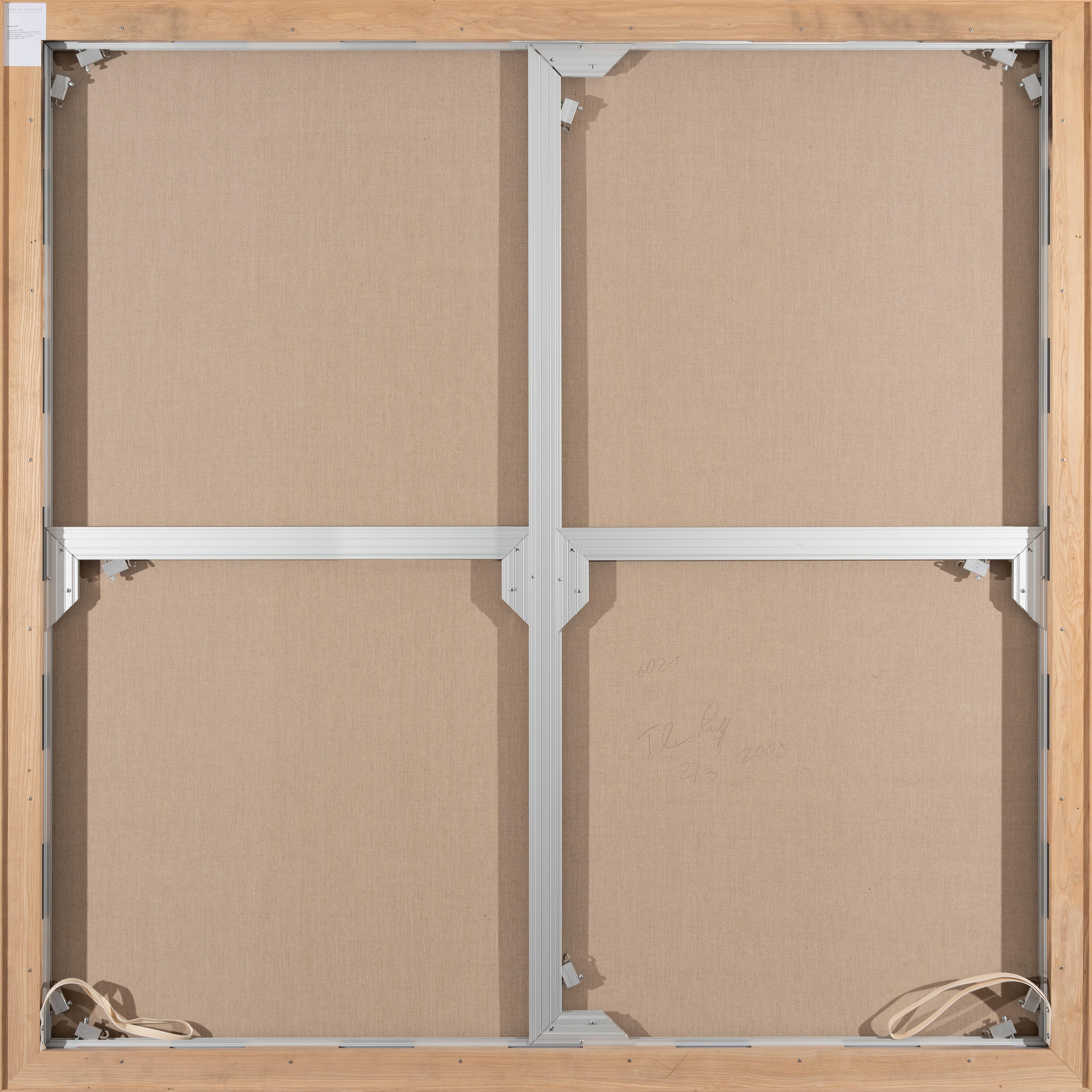 Thomas Ruff - Zycles 6021