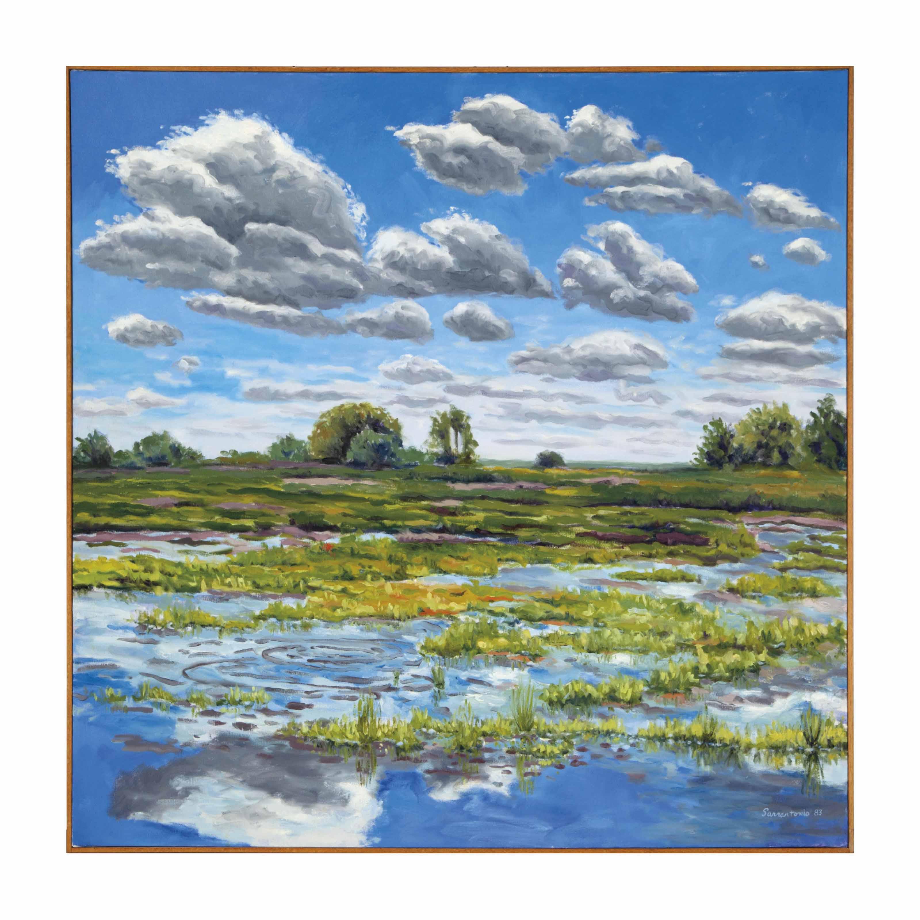 Thomas Sarrantonio - Untitled (Wetlands)