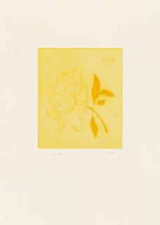 Thomas Schütte - Radierungen