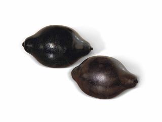 Thomas Schütte - Zwei Schwarze Zitronen Two Black Lemons