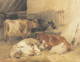 Thomas Sidney Cooper, R.A. - Cattle And A Sheep In A Barn