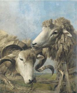 Thomas Sidney Cooper, R.A. - Heads of a sheep and a ram