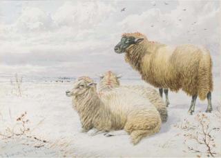 Thomas Sidney Cooper, R.A. - Sheep Resting In The Snow