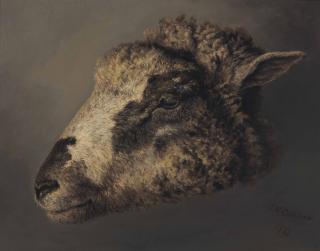 Thomas Sidney Cooper, R.A. - Study Of A Sheep\'S Head