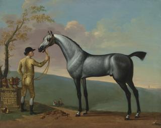 Thomas Spencer - \'Starling\', a Grey Racehorse, by \'Bay Bolton\', Held by a Groom, in a Landscape