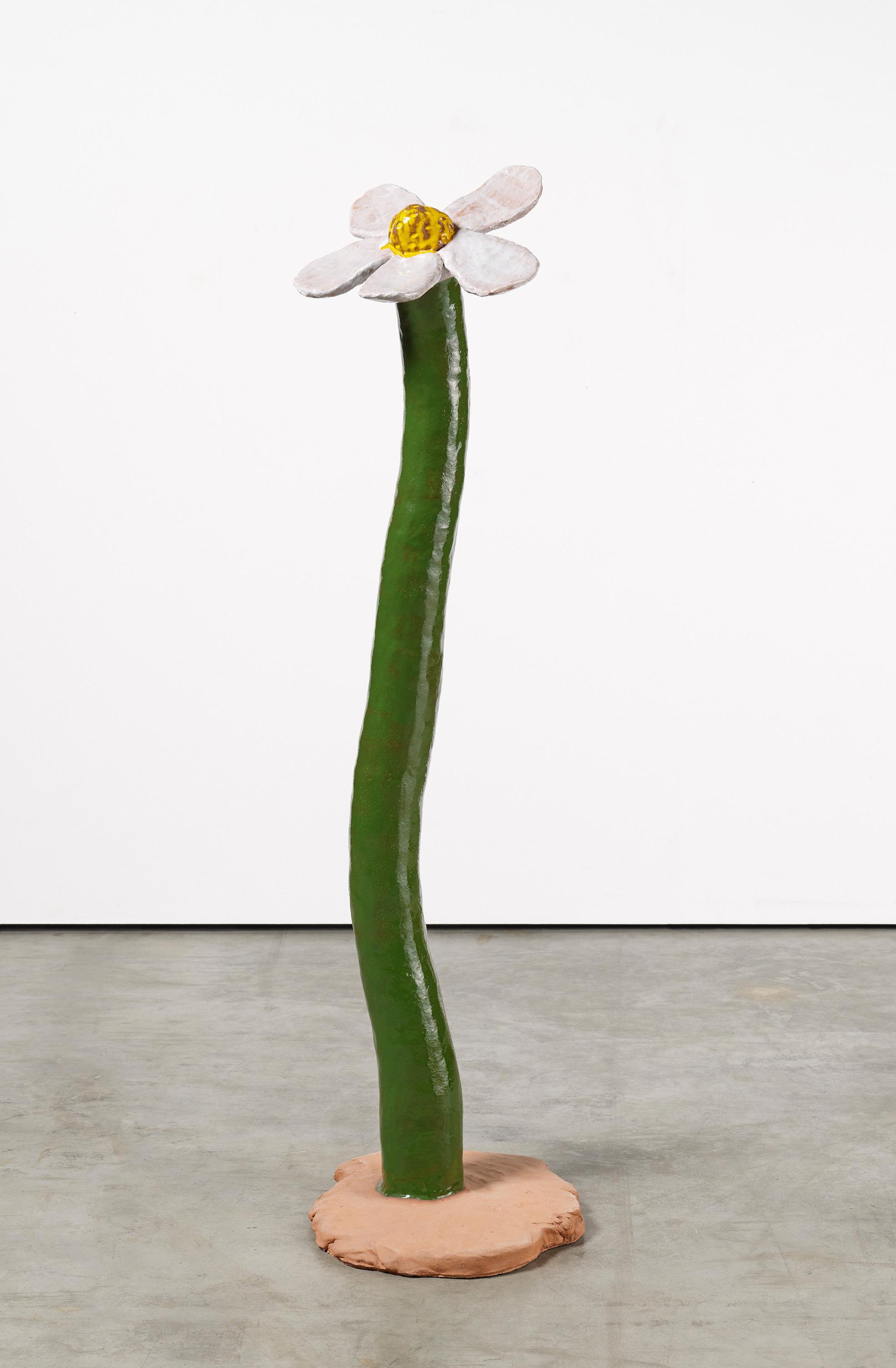 Thomas Stimm - Große Blume.