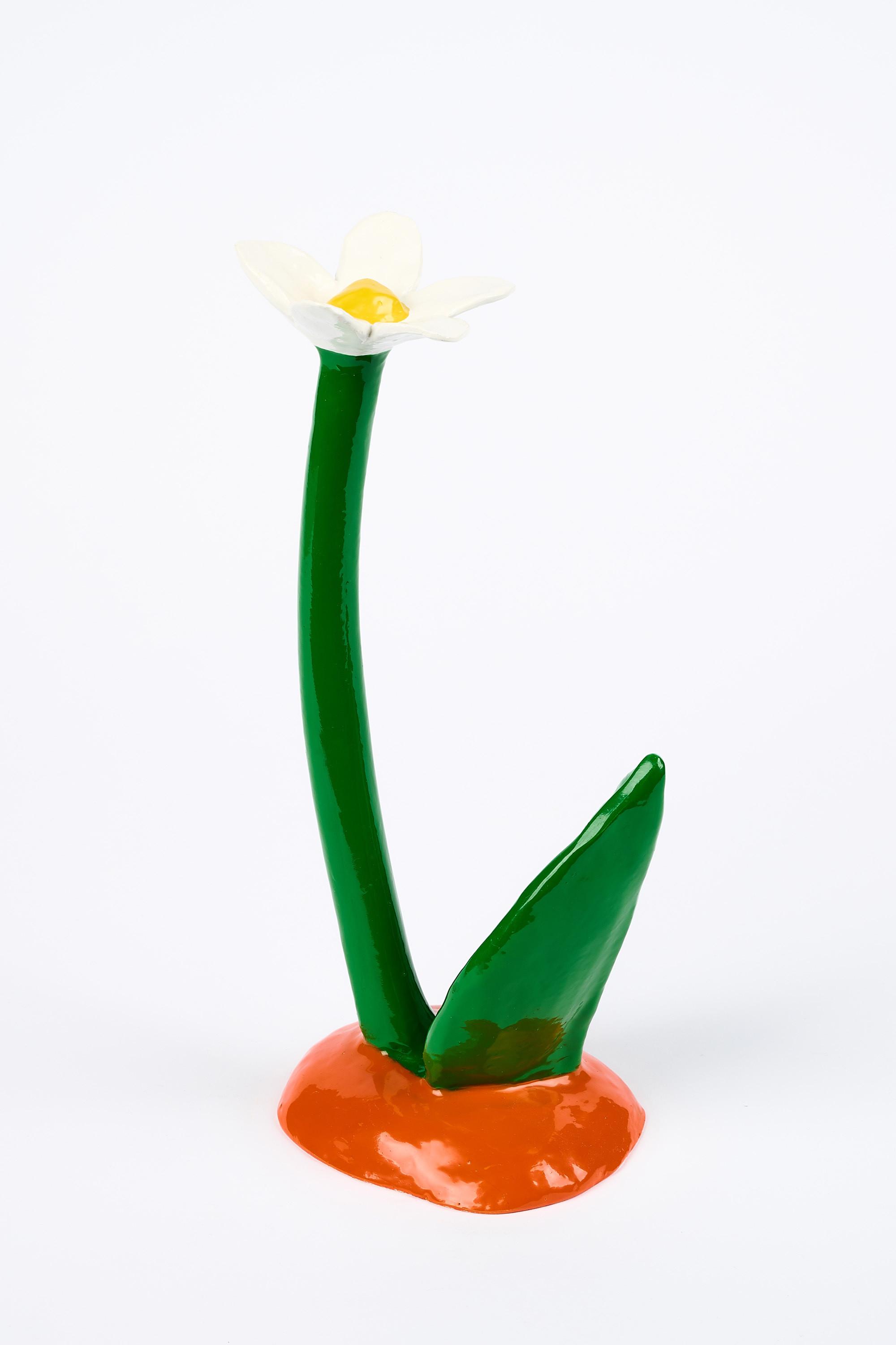 Thomas Stimm - Kleine Blume.