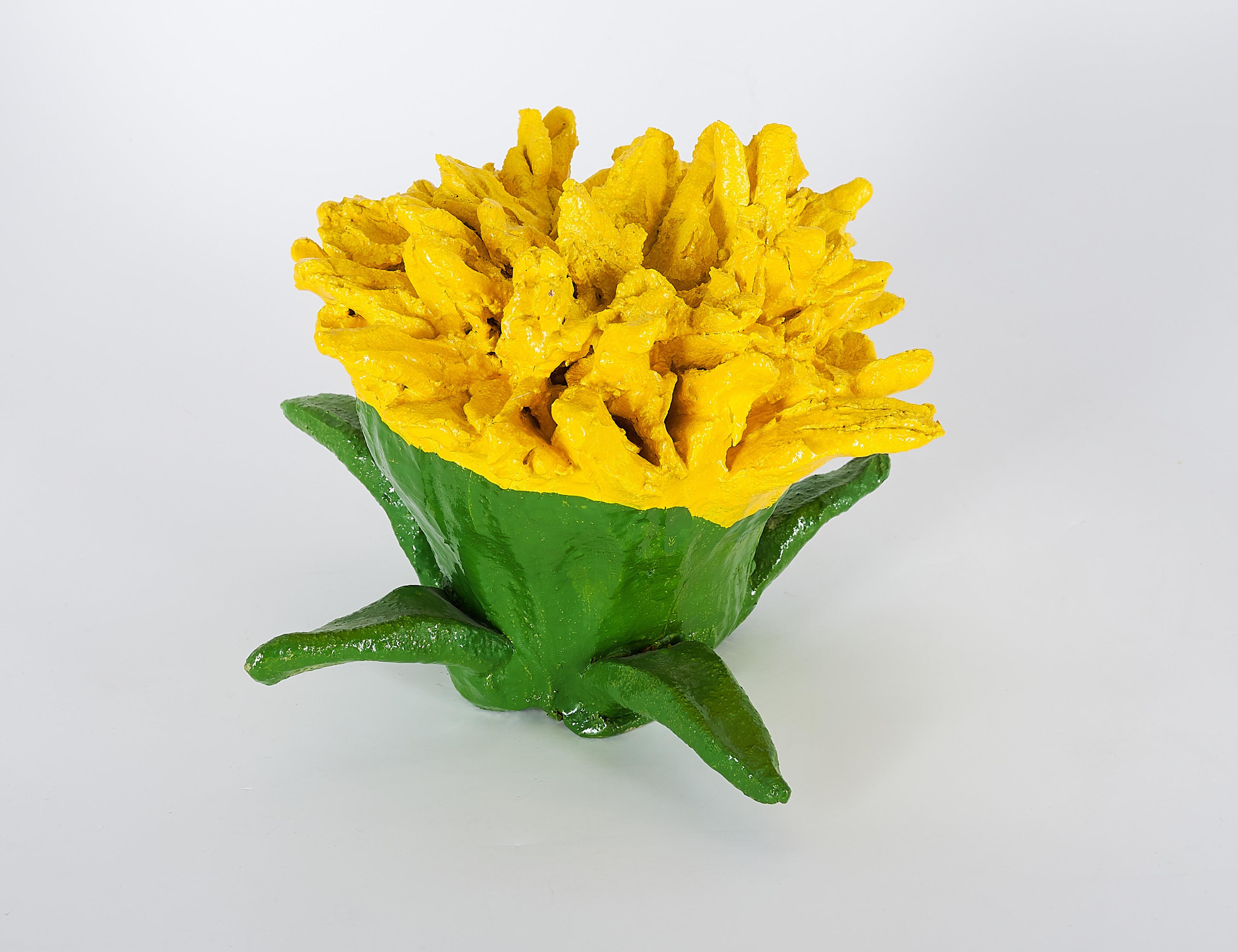 Thomas Stimm - Kleine Löwenzahnblüten 4.