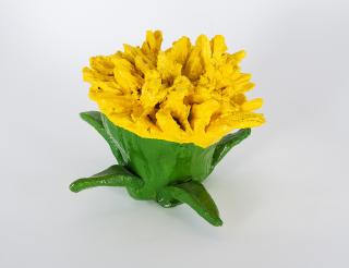 Thomas Stimm - Kleine Löwenzahnblüten 4.