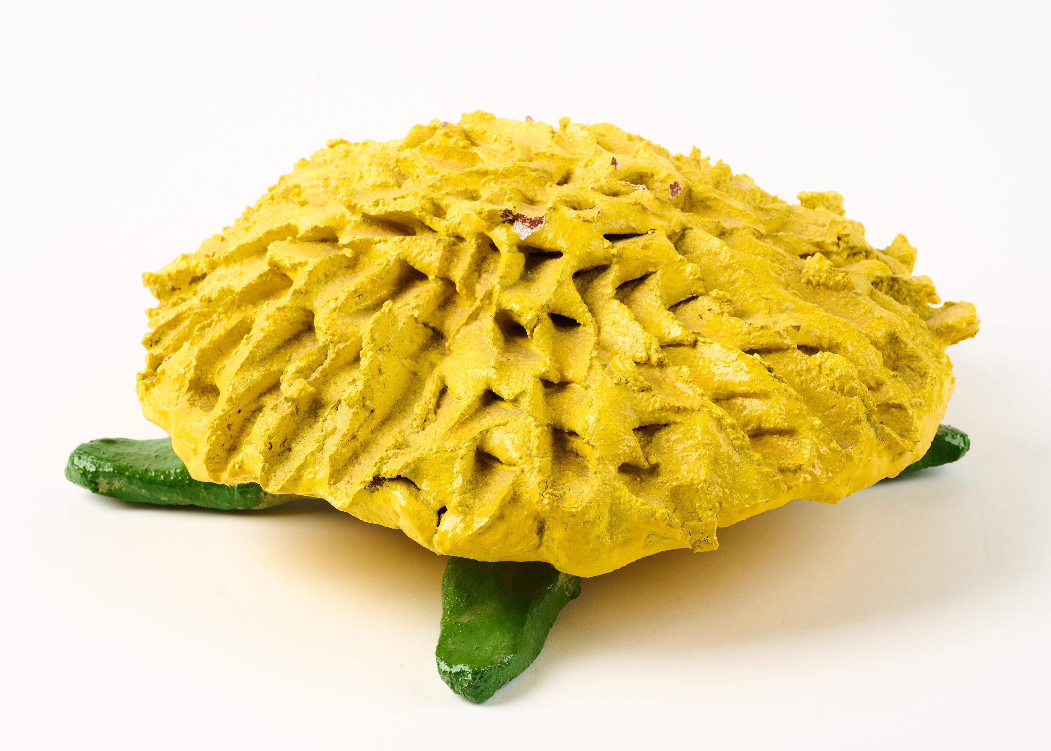 Thomas Stimm - Löwenzahnblüte.