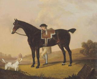 Thomas Stringer - Crab, the property of J. Thackeray Esq.