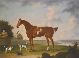 Thomas Stringer - Thomas Egerton\'S Chestnut Hunter With A Groom And Two Hounds And A Terrier In A River Landscape