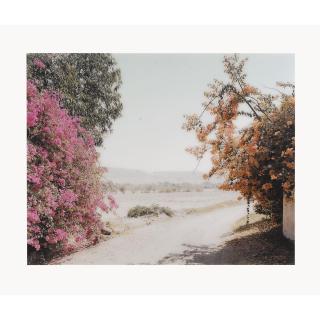 Thomas Struth - Hazienda Rio Palpa, Palpa, Peru