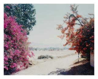 Thomas Struth - Hazienda Rio Palpa, Palpa, Peru