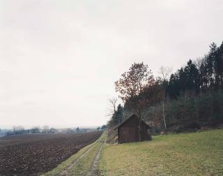 Thomas Struth - Holzhaus am Waldrand N30, Winterthur 1992 (without Landscape...)