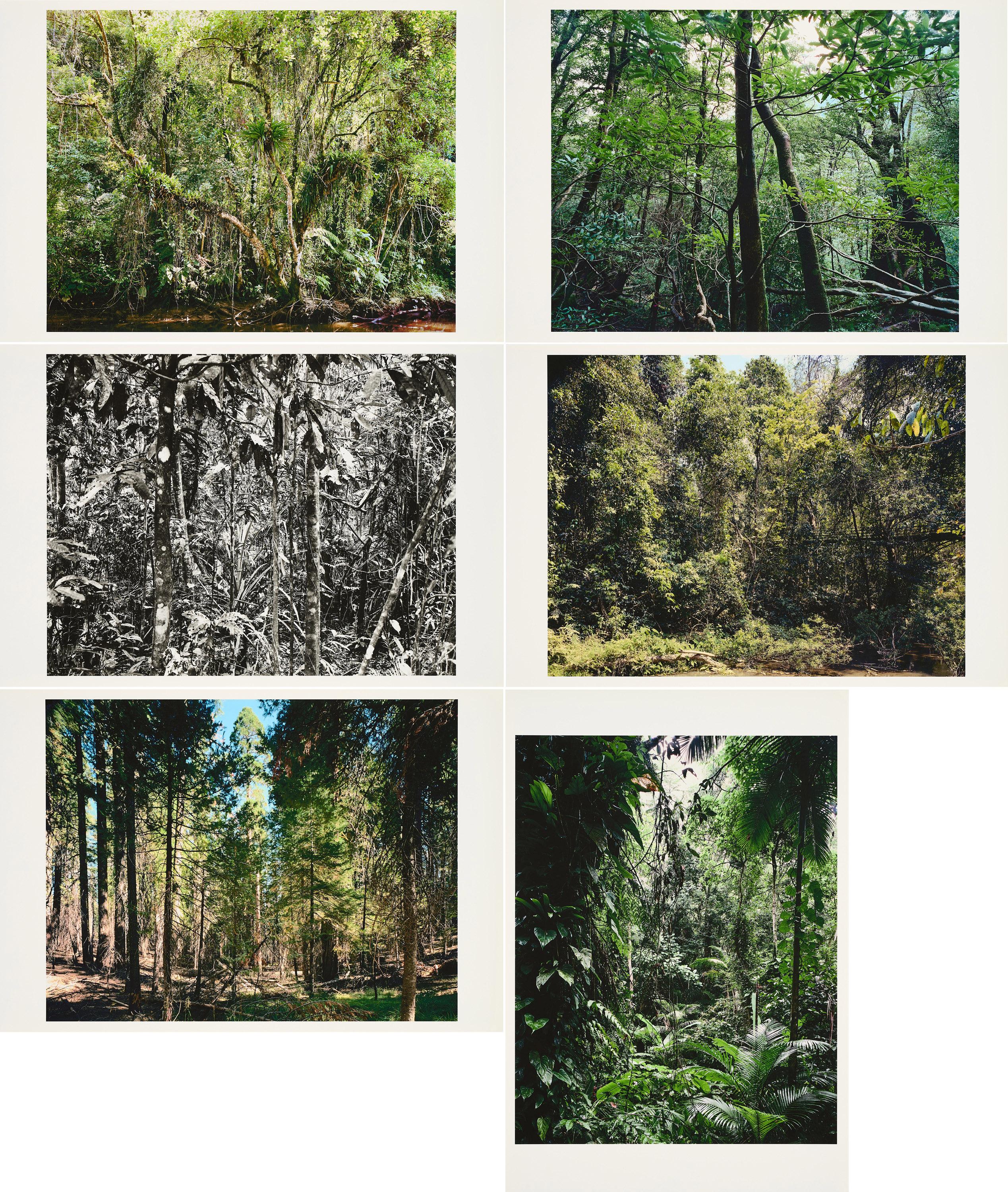 Thomas Struth - Paradies.