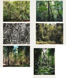 Thomas Struth - Paradies.