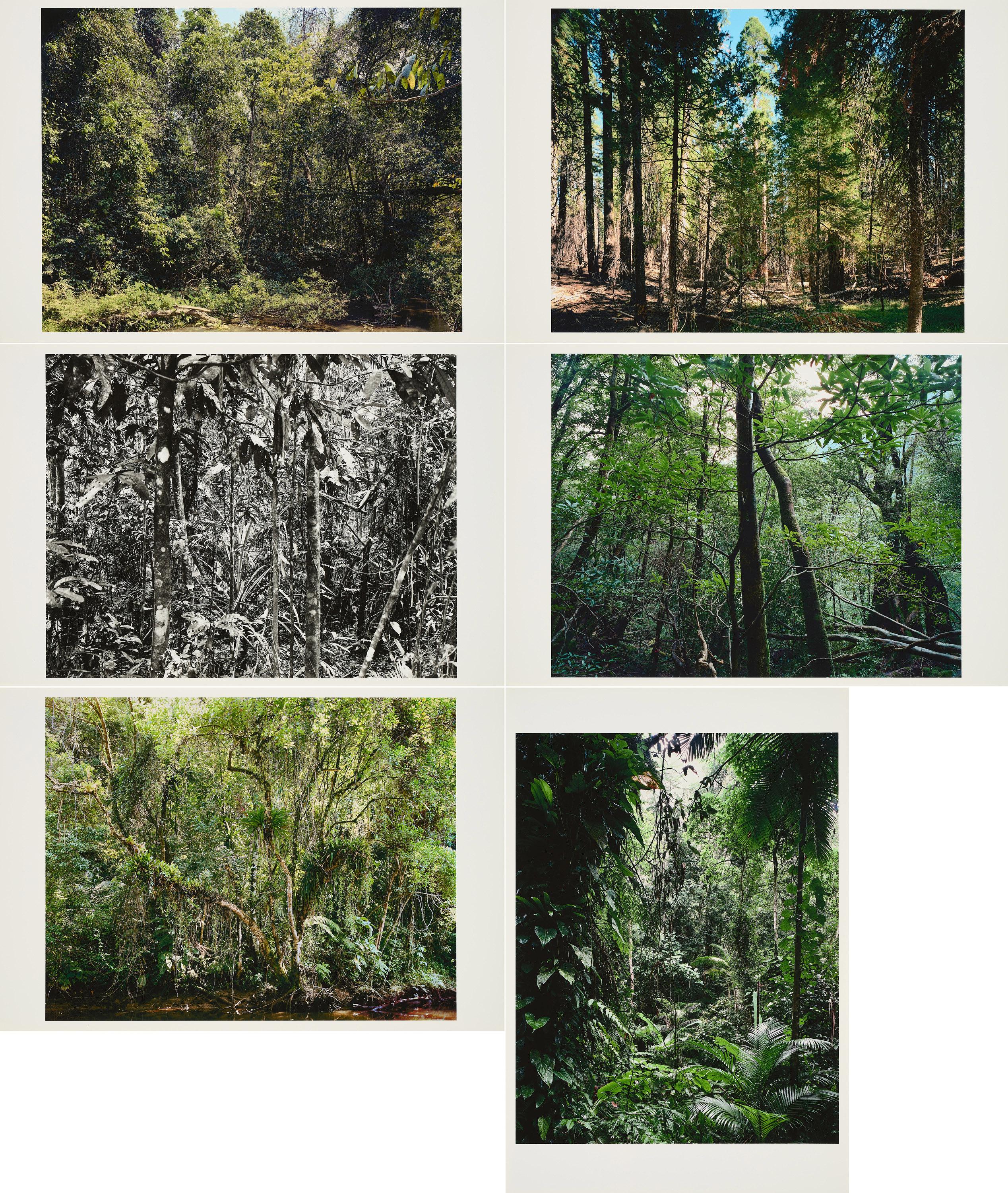 Thomas Struth - Paradies.