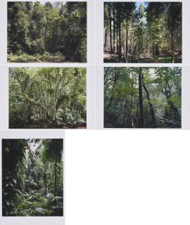 Thomas Struth - Paradies.