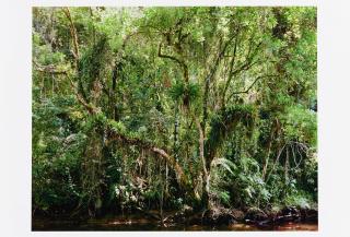 Thomas Struth - Paradies.