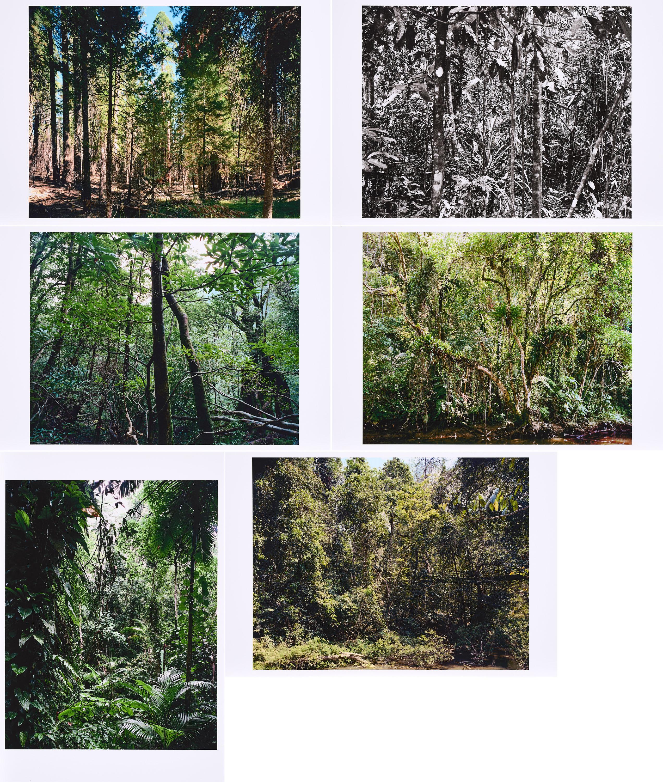 Thomas Struth - Paradies.