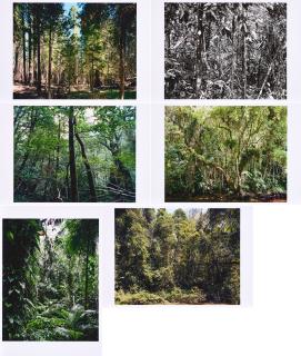 Thomas Struth - Paradies.