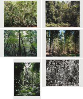 Thomas Struth - Paradise.