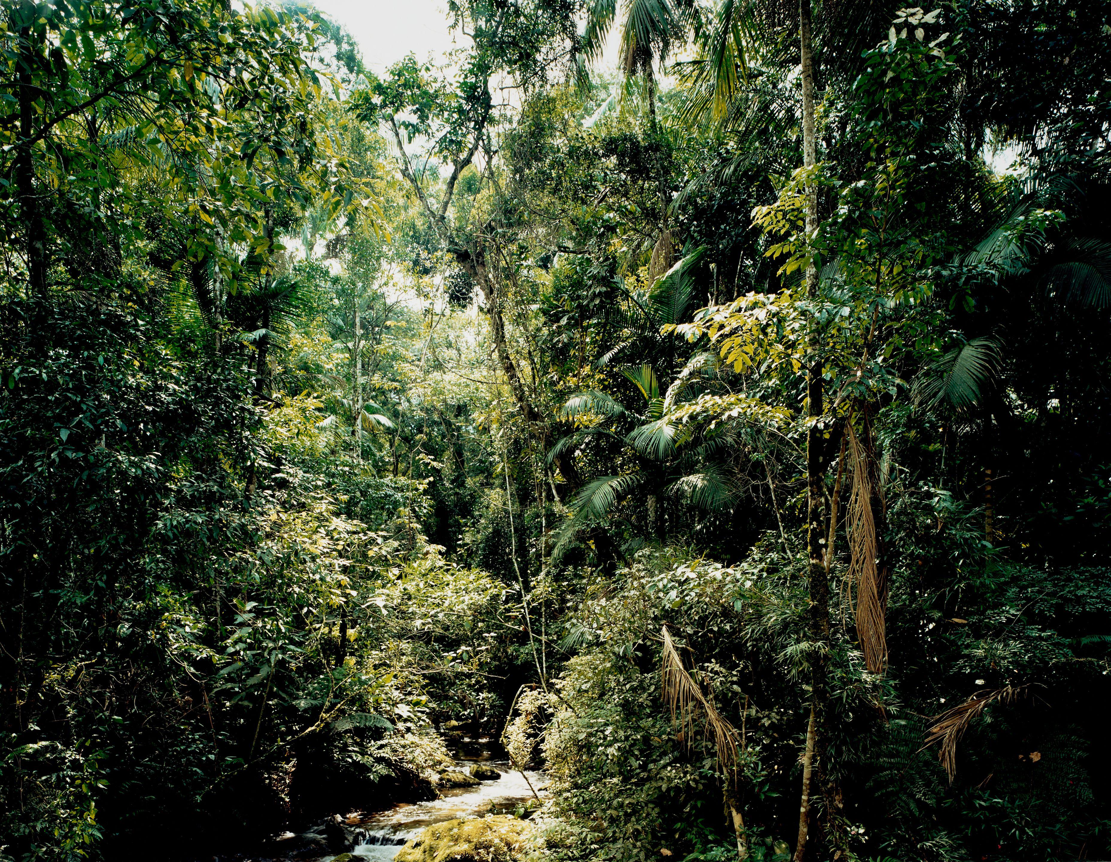 Thomas Struth - Sao Francisco de Xavier, Brazil
