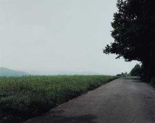 Thomas Struth - Waldstrasse auf dem Lindberg-Landscape No. 3, Wintherthur 1992