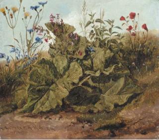 Thomas Sydney Cooper - Wildflowers