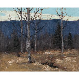 Thomas (Tom) John Thomson - Hillside On Big Cauchon Lake - Algonquin Park