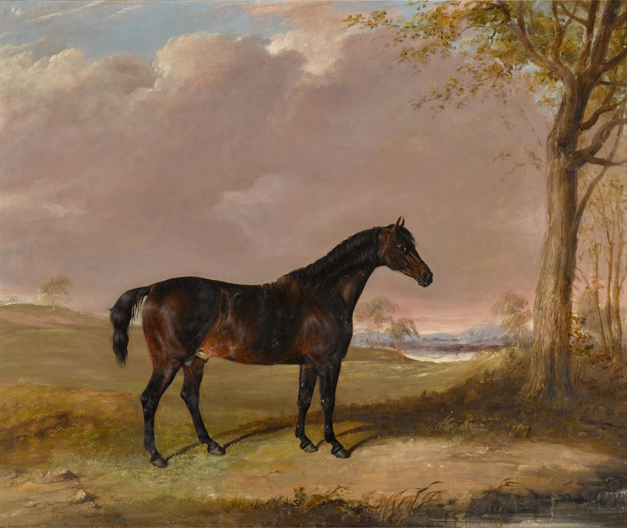 Thomas Walker Bretland - A black stallion in a landscape