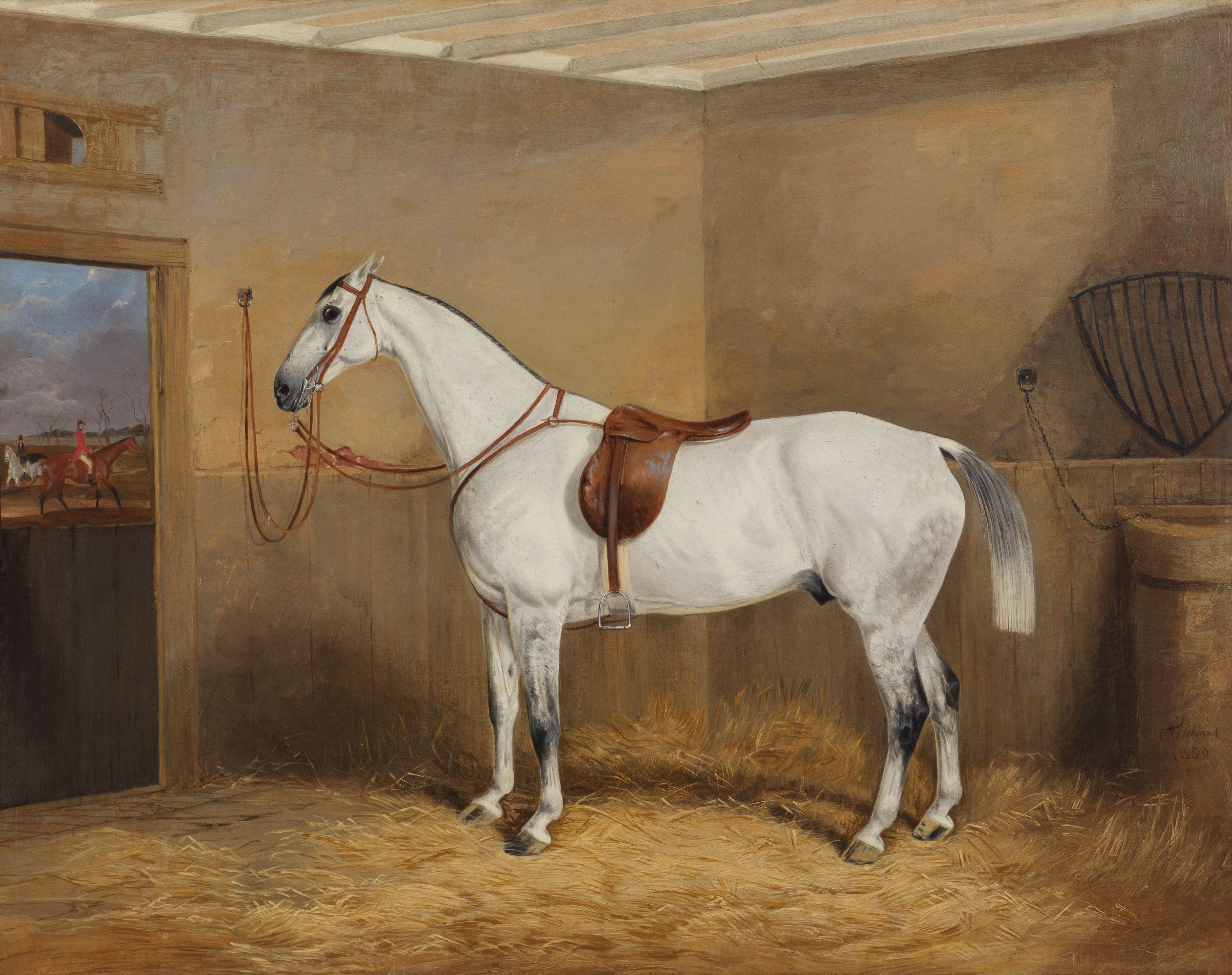 Thomas Walker Bretland - A saddled hunter in a stable