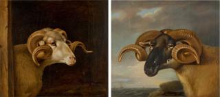 Thomas Weaver - Head Of A White Faced Ram, Facing Right; And Head Of A Black Faced Ram, Facing Left, A Seascape Beyond