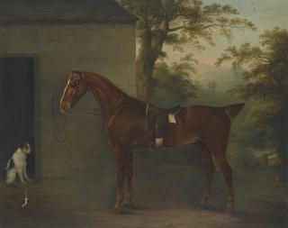 Thomas Weaver - Portrait Of Mr. Yarburgh\'S Chestnut Hunter Little John With A Terrier Beside A Stable