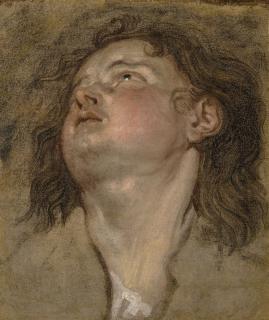Thomas Willeboirts Bosschaert - Study Of The Head Of A Young Man Looking Up 