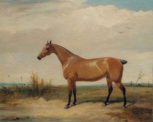 Thomas Woodward - A Bay Hunter In An Open Landscape