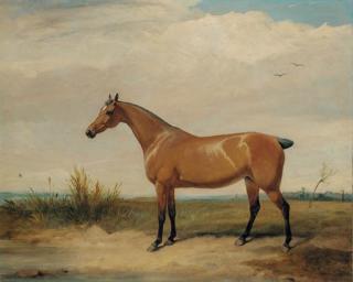 Thomas Woodward - A Bay Hunter In An Open Landscape