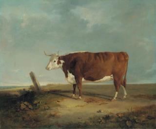 Thomas Woodward - A Longhorn Cow In A Landscape