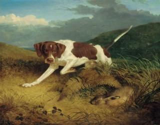 Thomas Woodward - A Pointer Coming Upon A Hare