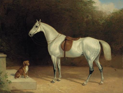 Thomas Woodward - A Saddled Grey Hunter, With A Dog On A Stone Step, And A Robin