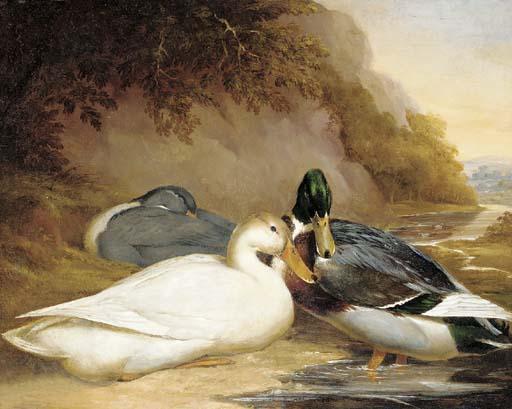 Thomas Woodward - Ducks by a river