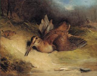 Thomas Woodward - The Dying Woodcock