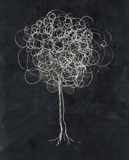 Thomas Zipp - A.B. Inside