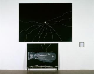 Thomas Zipp - E-Licht